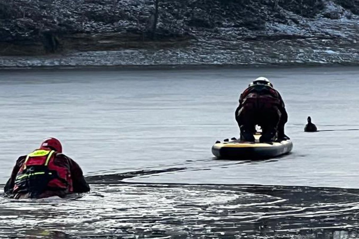 Hasiči v Jablonci zachraňovali kachnu, která přimrzla k ledu
