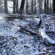 Zima / Zavátý Kristus (Ivan Exner; olej na plátně, 2019)