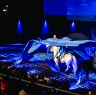 Modrá symbolizuje v představení živel Vody.