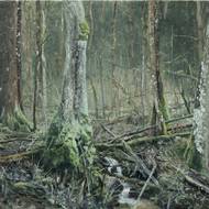 Račinka (Adam Kašpar; olej na plátně, 2018) 