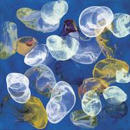 Bez názvu (Jiří George Dokoupil; akryl, pigment, mýdlové bubliny na plátně, 2023)