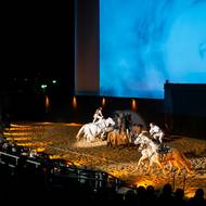 Michal Bednář a Natálie Nováková předvádějí na koních cvik - tzv. uherskou poštu.