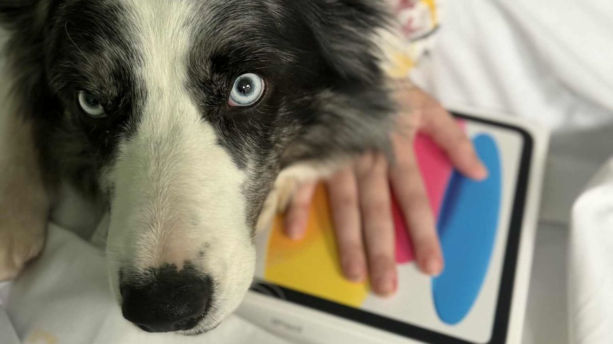 Tvrďák s měkkým srdcem každý rok se svými studenty obdaruje děti s rakovinou