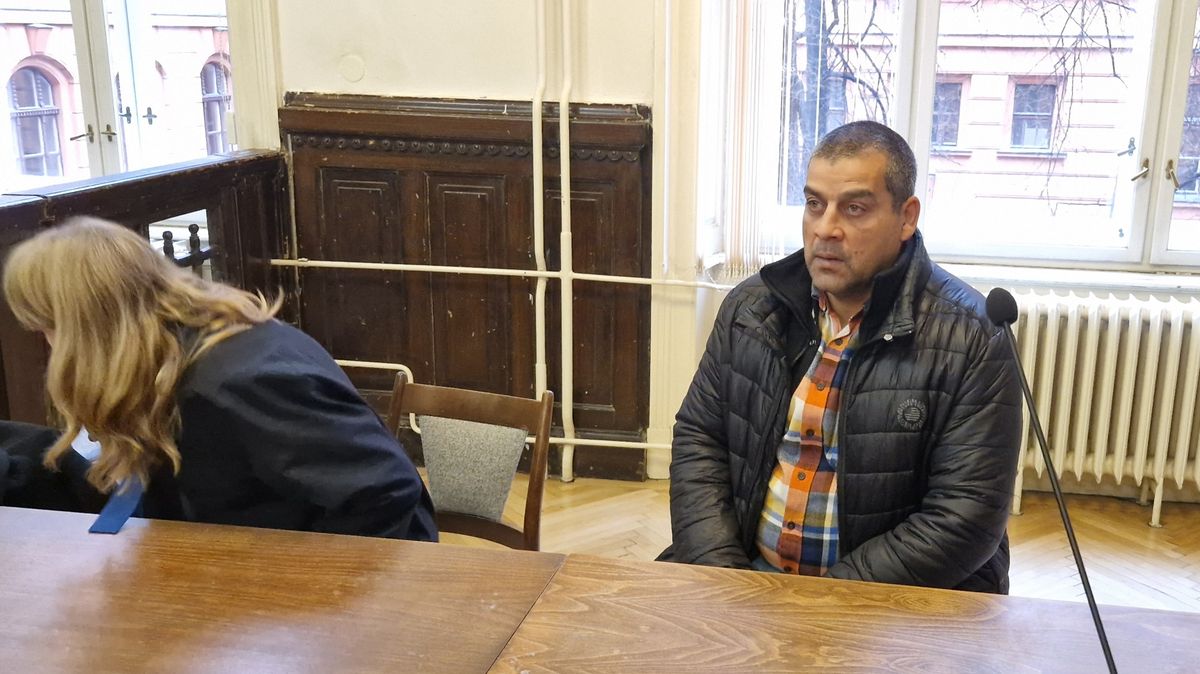 Sok po ráně pěstí spadl jak hadrová panenka, násilník ho přesto dál mlátil. Teď mu hrozí 12 let