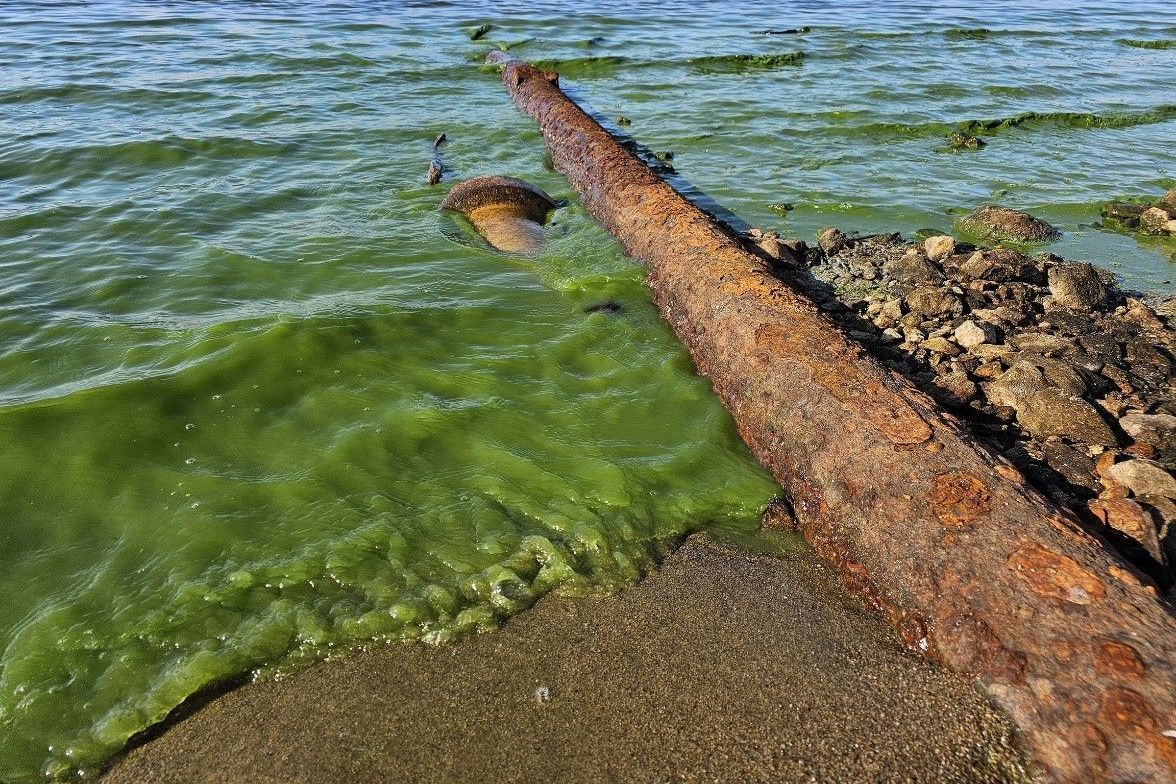 U břehu Lipna se povalují desítky odpadních rour. Vědci je při úbytku hladiny zmapovali