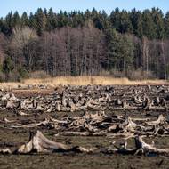 Scenérie, která není často k vidění.