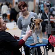 Akce je určena nejen pro chovatele a vystavovatele, ale také pro širokou veřejnost.