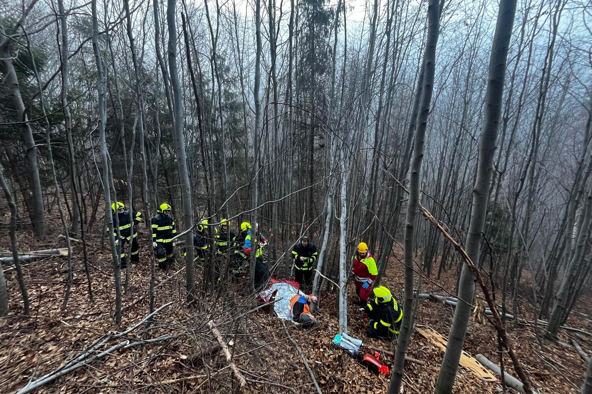 V Beskydech se zranil muž při prořezávání stromů