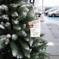 Umělé vánoční stromečky v nákupním centru Auchan. 