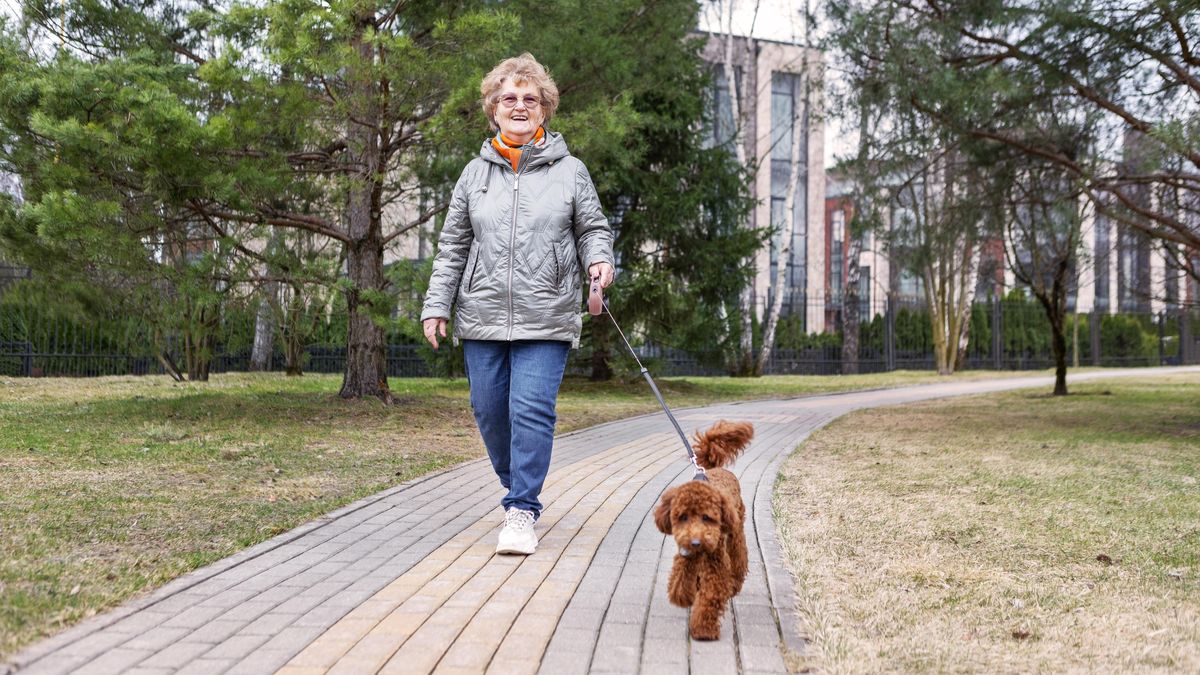 Přišel čas zaplatit za psa. V bytě vyjde dráž než v domě