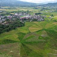 Unikátní rýžová pole ve tvaru pavučiny u města Ruteng na indonéském ostrově Flores. Tento síťovitý vzor vznikl na základě manggarajského systému rozdělení polí kolem centrálního bodu, který odráží tisíciletou zemědělskou tradici místních komunit.