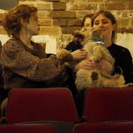 V kině se během psího promítání potkávají různé rasy i velikosti psů.