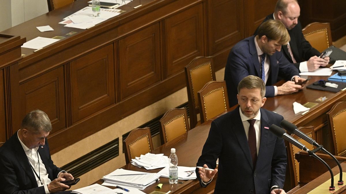 Snazší vyhazovy státních úředníků prošly prvním čtením ve Sněmovně