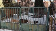 Lidé v Českém Těšíně sebrali chovateli hladová zvířata. Případ řeší policie