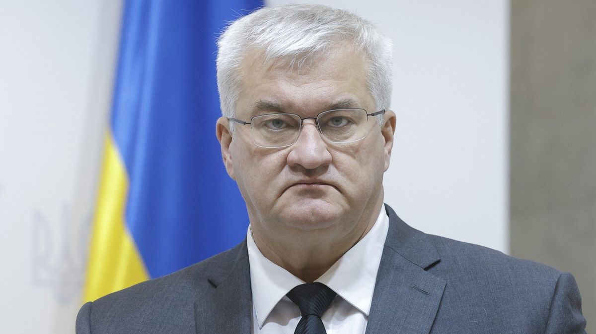 Poskytnutí letounů L-159 Ukrajině by mohlo být výhodné i pro Česko, uvedl Sybiha