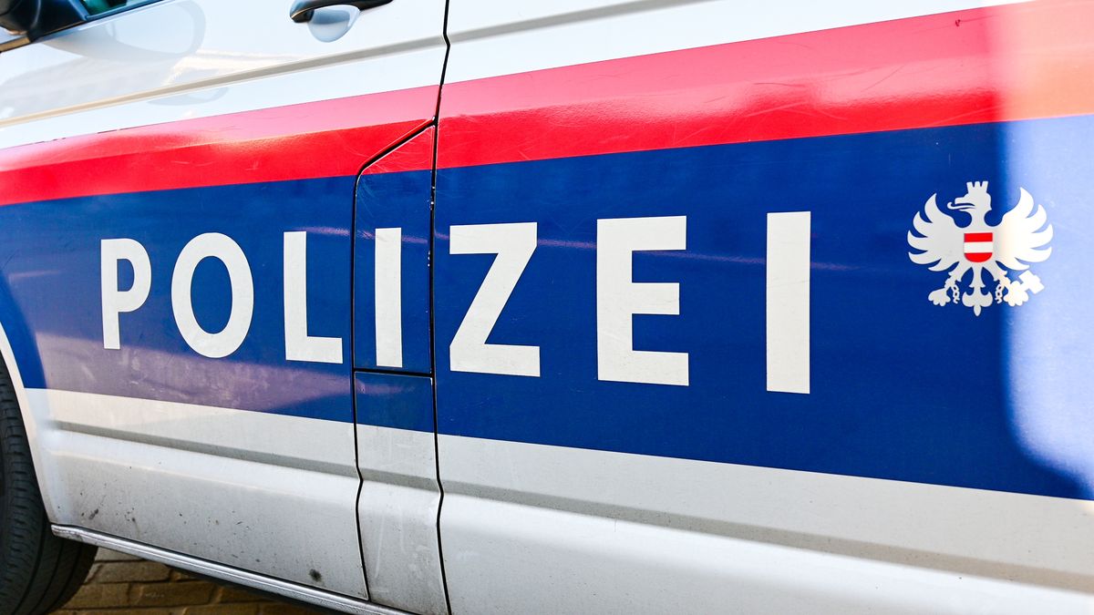 Žena v Rakousku podřízla doma hrdlo jedenáctiletému synovi