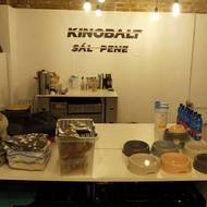 Čtyřnozí návštěvníci mají v kině k dispozici vodu, podle potřeby i pelíšek a samozřejmě něco na zub. 