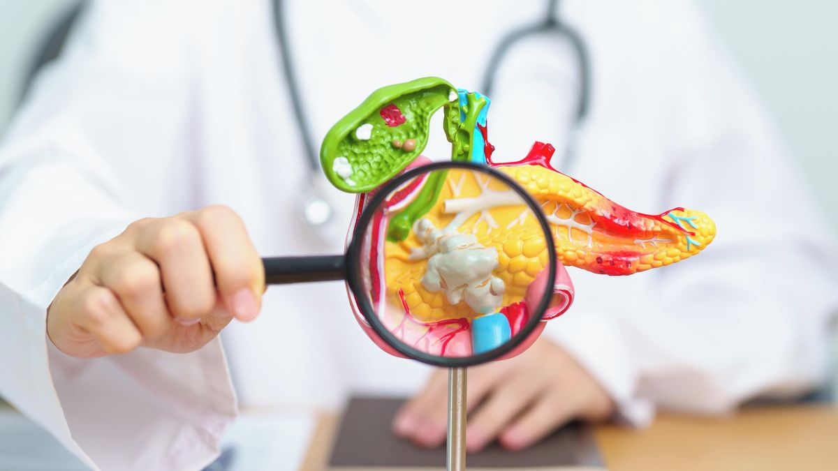 Průlom ve výzkumu rakoviny slinivky. Nová léčba by mohla vést k mizení nádorů