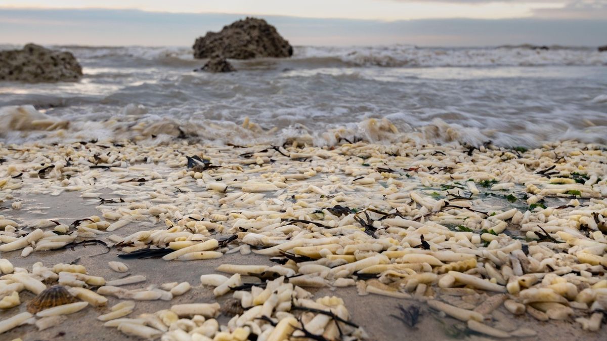 Nevšední výjev. Jihoanglické pláže zaplavily hranolky a cibule