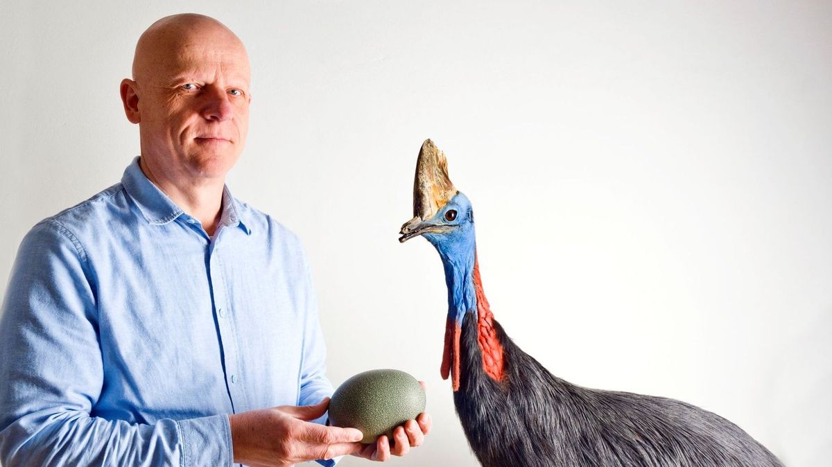 Jako vejce vejci? Minoritský klášter ve Znojmě nabízí fascinující pohled na svět skořápek