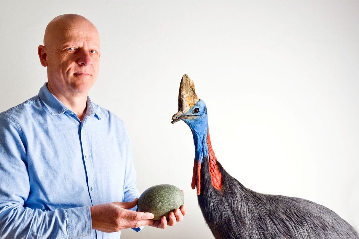 Jako vejce vejci? Minoritský klášter ve Znojmě nabízí fascinující pohled na svět skořápek