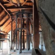 Na půdě základní školy v Kyselce u Karlových Varů sídlí jedna z pouhých tří známých letních kolonií netopýra velkého v Karlovarském kraji. O jejím výskytu existuje písemná zmínka už z roku 1954.