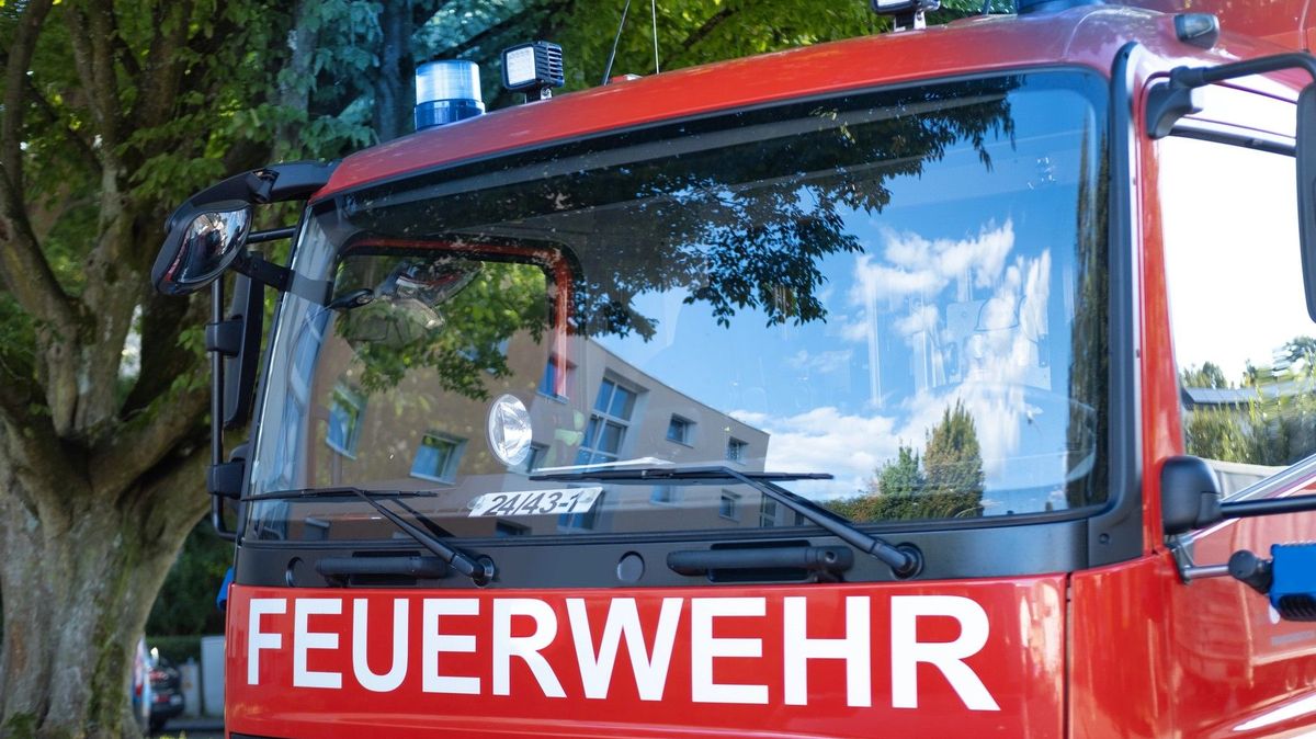 Řidička v Německu si při couvání spletla pedály a skončila i s autem na zábradlí schodiště