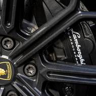 Brzdy mají dobrý nástup. Jsou karbonkeramické, takže vydrží ostré zacházení.