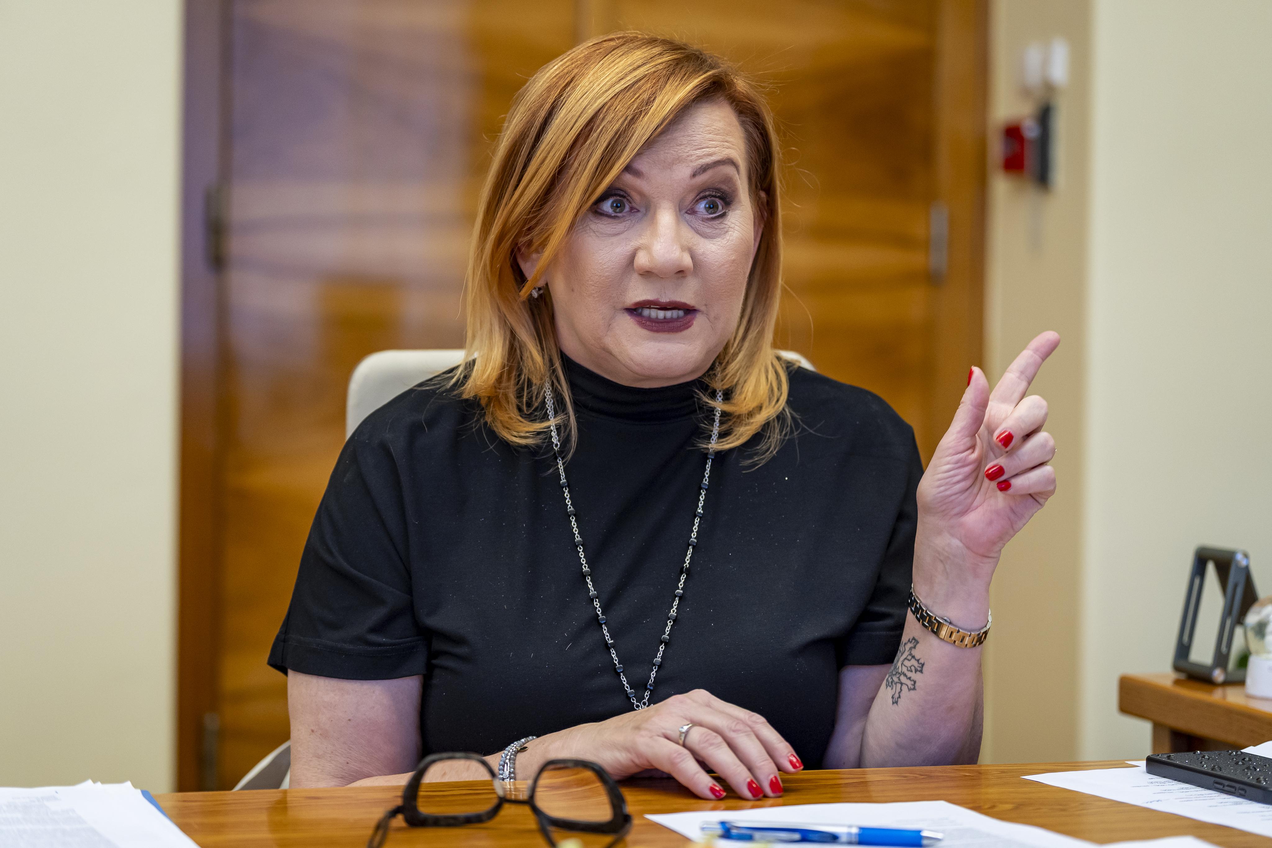 Schillerová: Rozpočtový deficit příští rok vzroste, překročení unijního stropu ale nehrozí