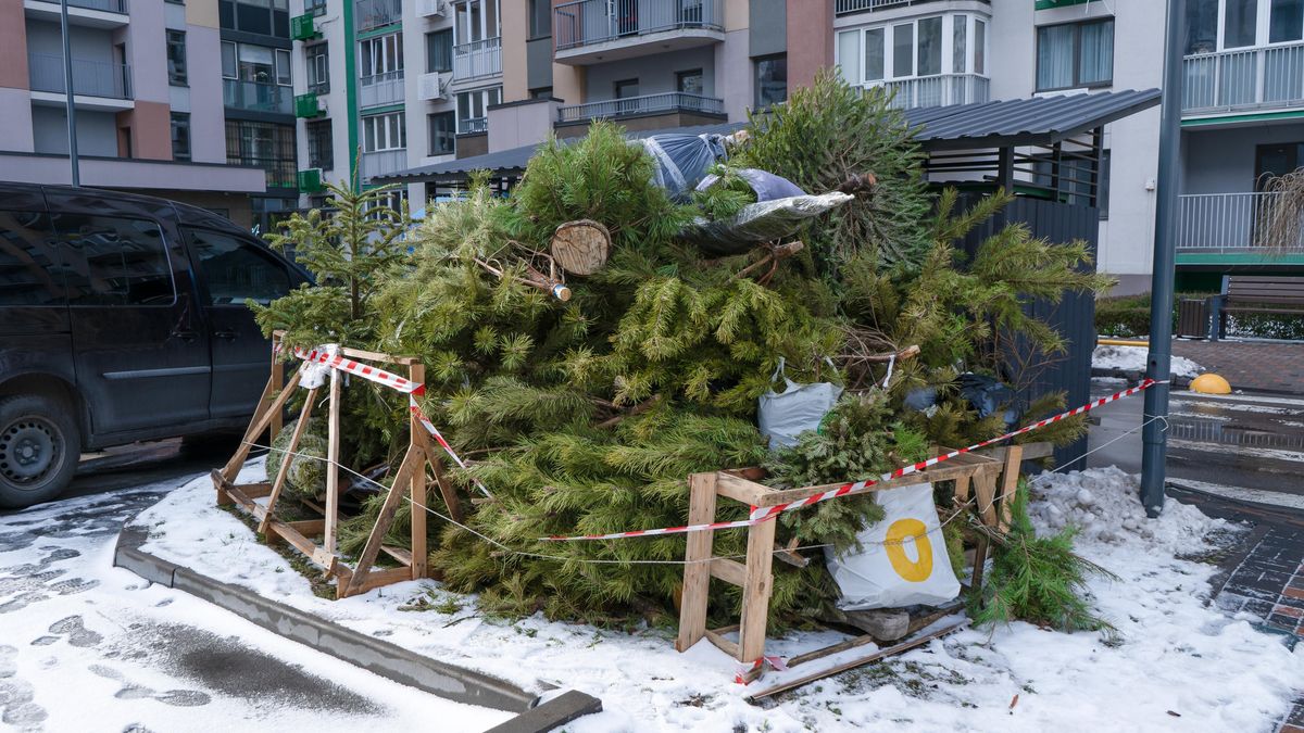 Jak recyklovat vánoční stromeček a dekorace z chvojí?