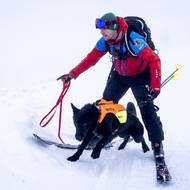 Výcvik byl hlavně pro mladé psy, kteří se teprve stávají plnohodnotnými pomocníky. 
