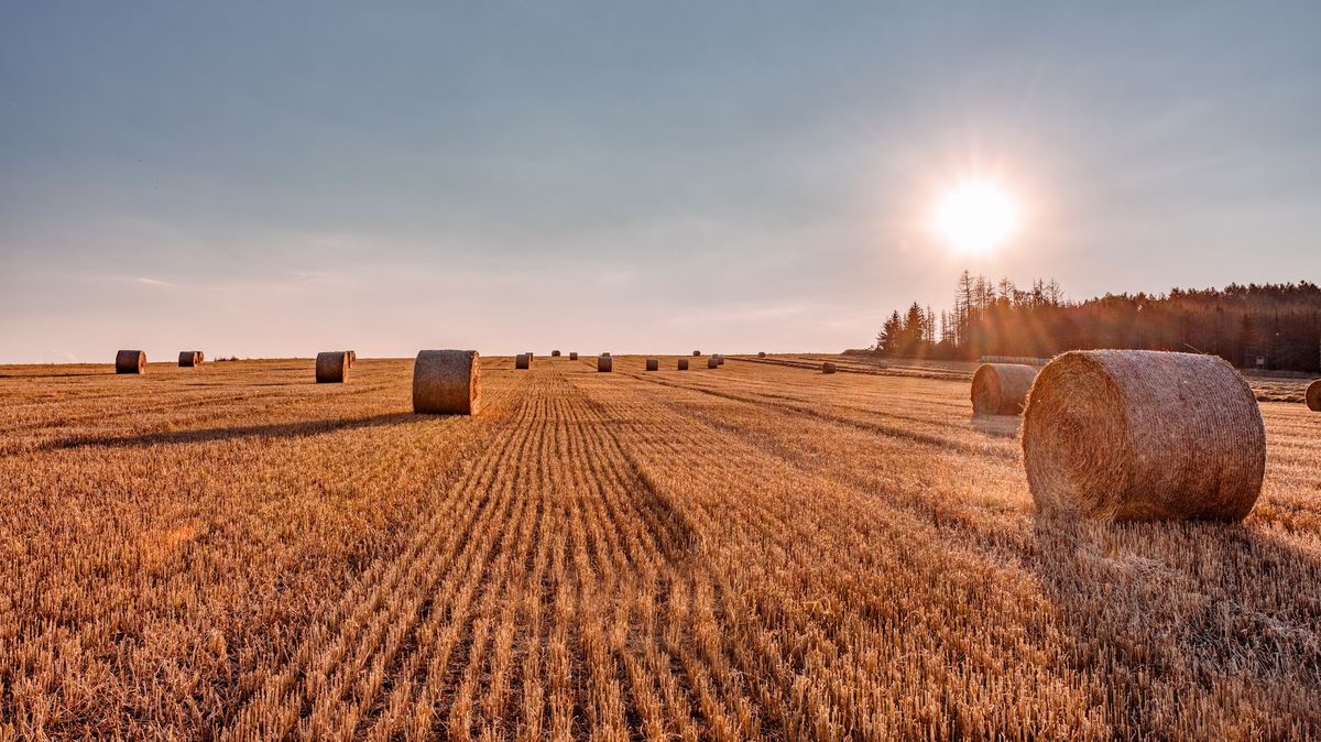 Rok 2025 byl v Česku 13. nejteplejší v historii měření a mimořádně suchý