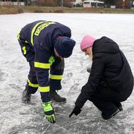 Led je dobré překontrolovat.