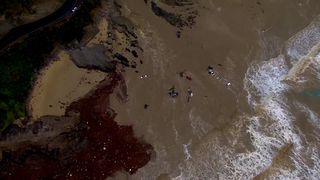 Nejprve vedra a požáry, teď povodně. V Austrálii velká voda smetla auta do moře