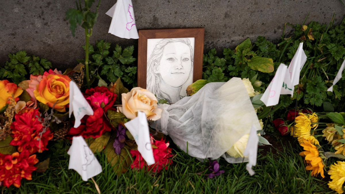 Politiky z Minnesoty, kteří kritizovali zastřelení Goodové, začali vyšetřovat kvůli údajnému spiknutí