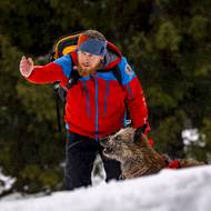 Trénovat se musí i poslušnost a pohyb v lavinovém terénu. 