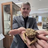 Mezi exponáty jsou i výrobky z žabí kůže, například peněženka. 