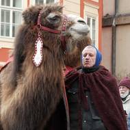 Na mudrce čekali na Malostranském náměstí.