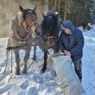 Jako první dostali během přestávky občerstvení koníci. 