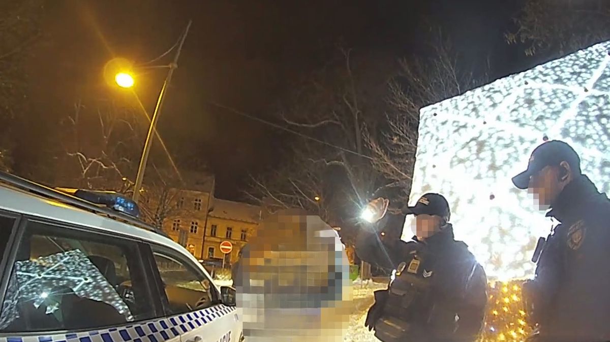 Opilec prorazil hlavou perníkovou chaloupku. Vyhlášenou dekoraci v Českých Budějovicích za více než milion zničil