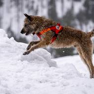 Práce je musí hlavně bavit. 