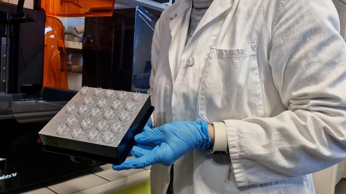 Revoluce v laboratorních testech. Na Moravě vyvíjejí „umělé“ střevo, má nahradit pokusy na zvířatech