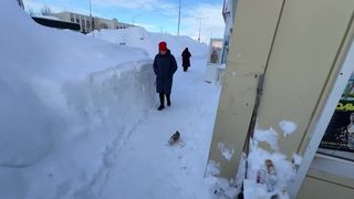 Žádná AI. Procházka na Kamčatce ukazuje skutečné množství sněhu