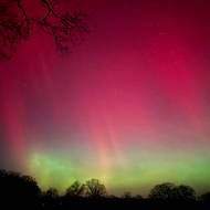 Nejčastějšími barvami jsou červená a zelená. 