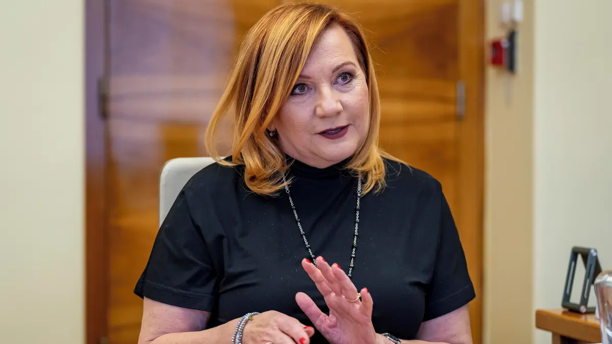 Vláda zrušila NERV