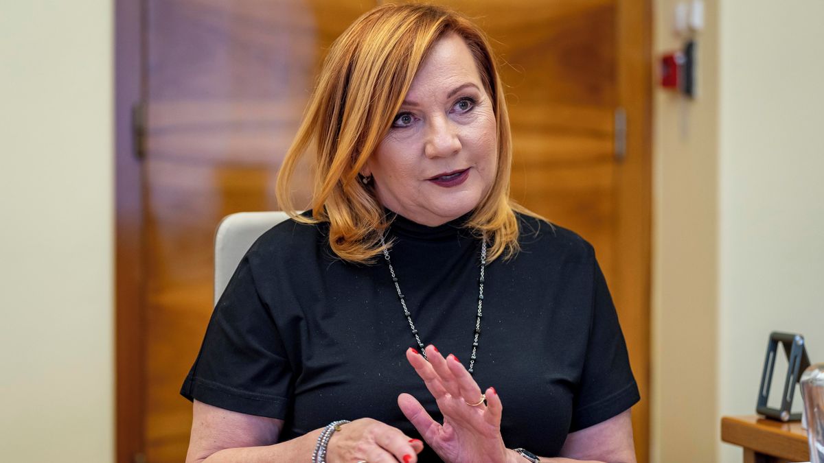 Babišův kabinet zrušil Národní ekonomickou radu vlády