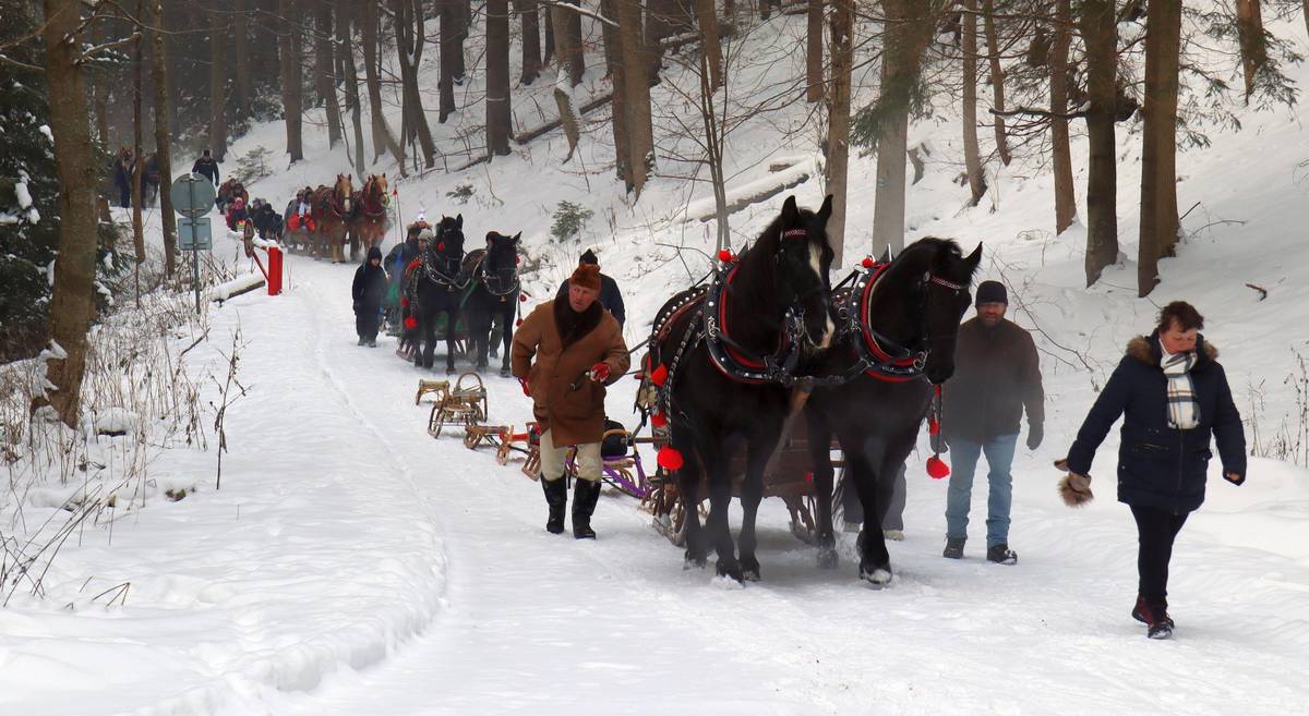Nejprve vjela do hor koňská spřežení, až po nich traktory. 