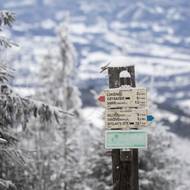 Pod vrcholem Lysé hory. 