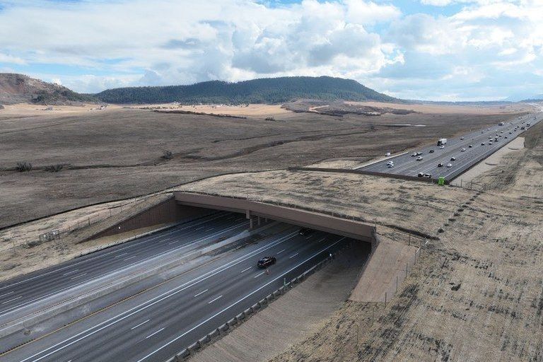 Největší most pro divokou zvěř na světě. Vede přes šestiproudou dálnici v Coloradu