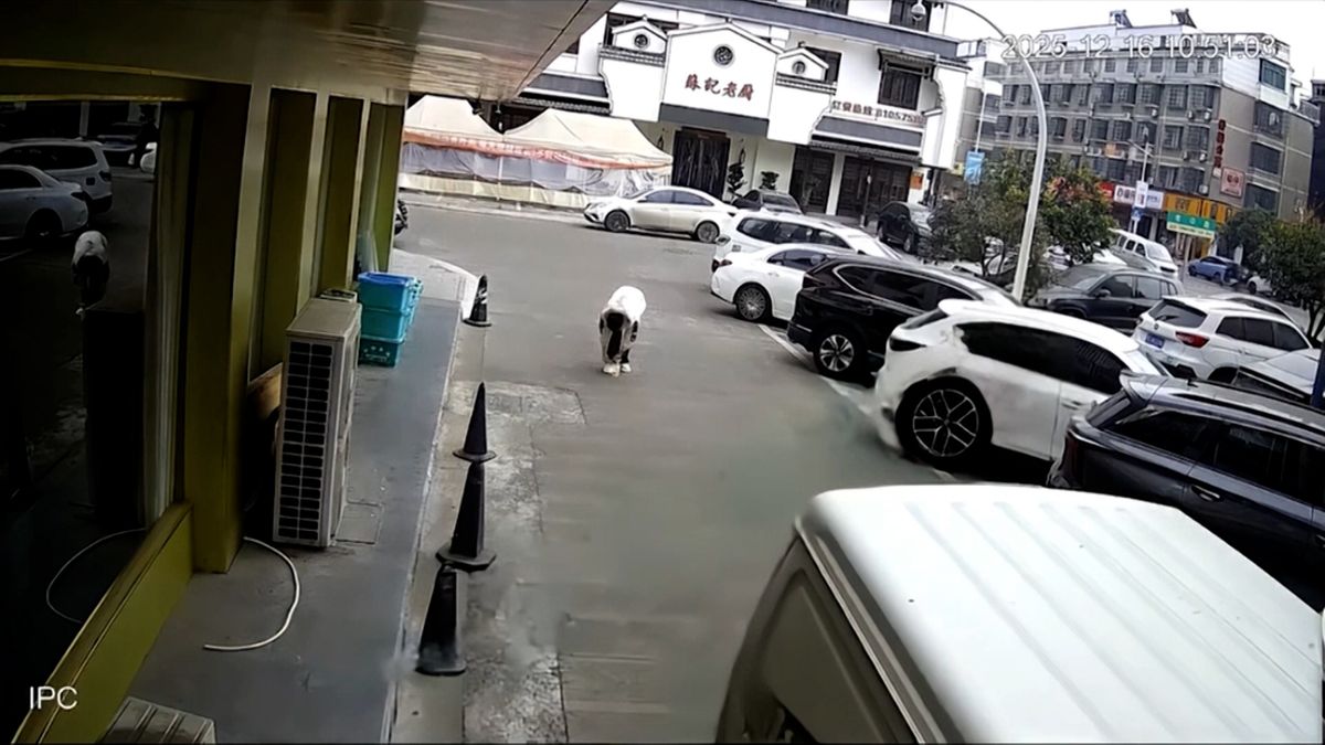 Hrozivý záběr z Číny. Muž si chtěl na ulici zavázat tkaničku, nacouvala do něj dodávka